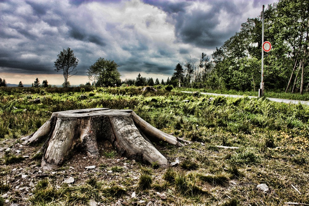 HDR Kahker Asten, Baumstumpf