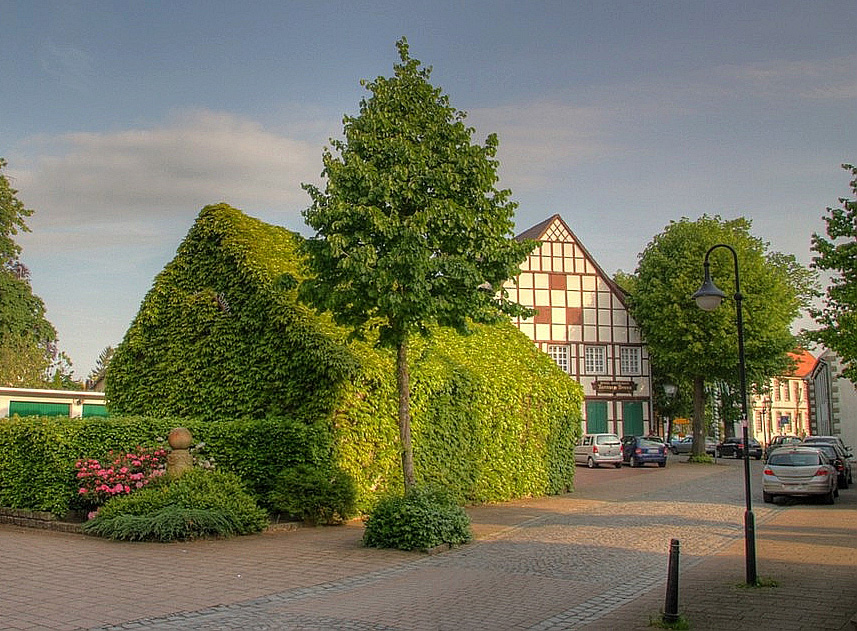 HDR Kersen Hopsten