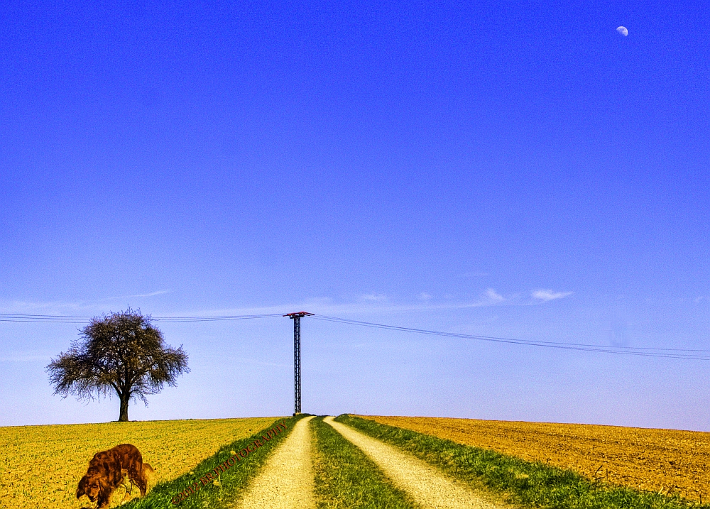 HDR-Landscape (Freihand) so macht Gassi gehen Spaaaß ;-))