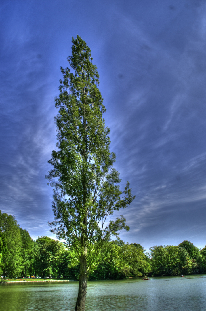 HDR Landschaft_1