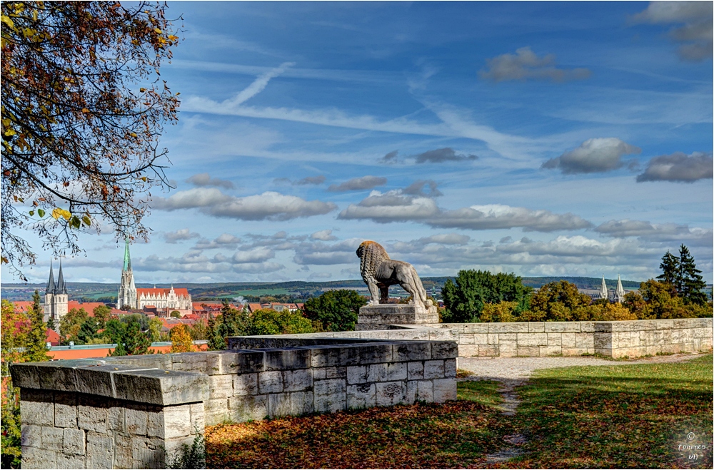 HDR ~ LÖWE