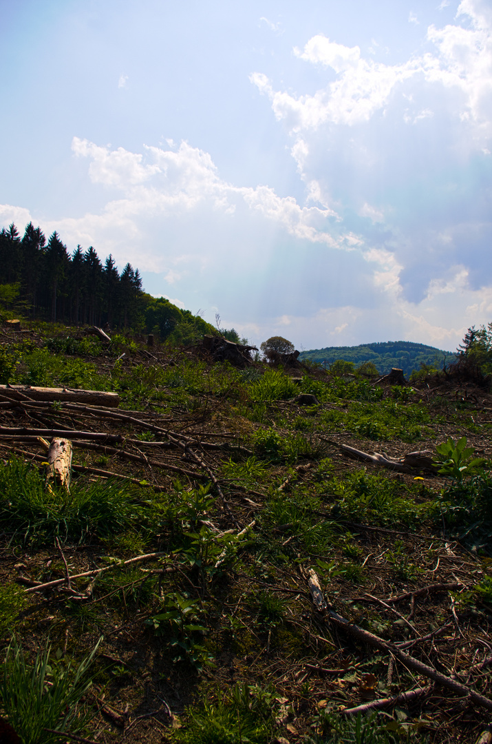 HDR Obermaubach