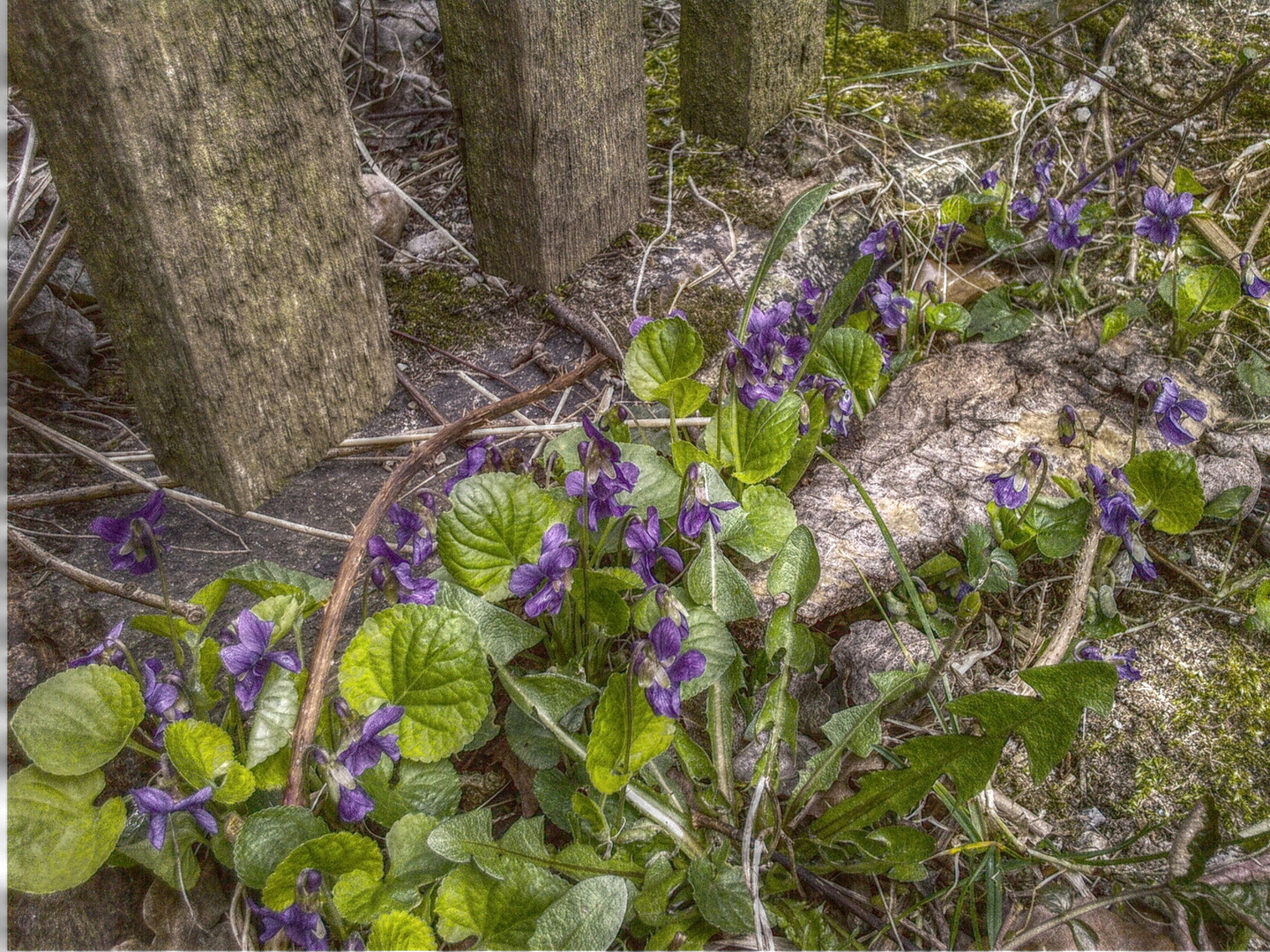 HDR ohne Titel