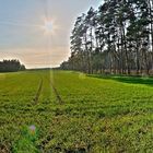 HDR Pano Vom Acker hinter meinem Haus :)