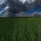 Hdr Panorama