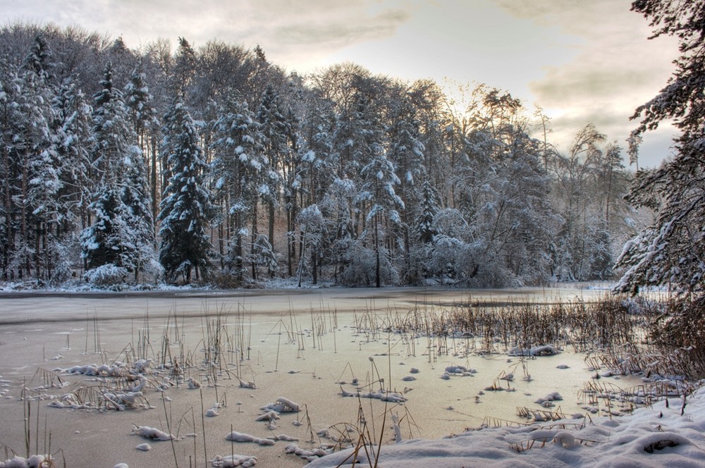 HDR Riet Weiher im Winter