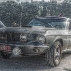 HDR Shelby Mustang G.T. 350