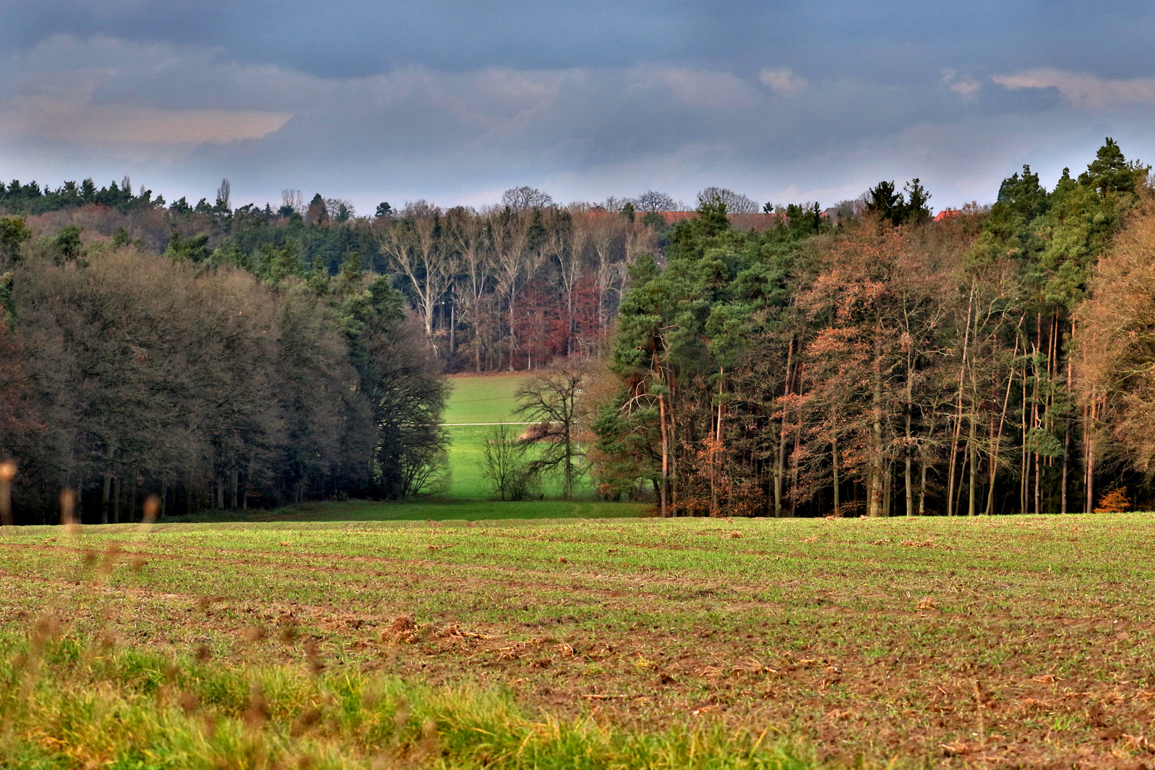 HDR - so wie es aus der Kamera kam