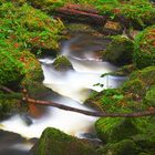 HDR-Versuch eines Bachlaufs im Nordschwarzwald bei Bad Herrenalb