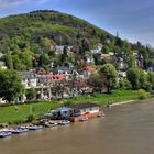 HD(R) Villen am Neckar