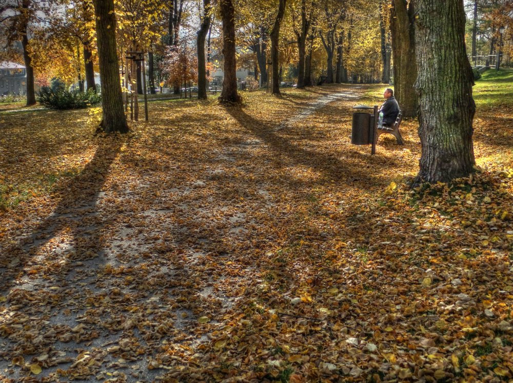 HDR vom Park am Carl-von-Bach-Gymnasium Stollberg