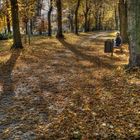 HDR vom Park am Carl-von-Bach-Gymnasium Stollberg