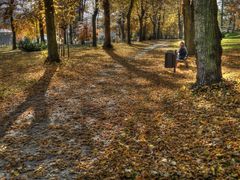 HDR vom Park am Carl-von-Bach-Gymnasium Stollberg