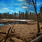 HDR vom Wildsee (Hochmoor im schönen Schwarzwald) 2