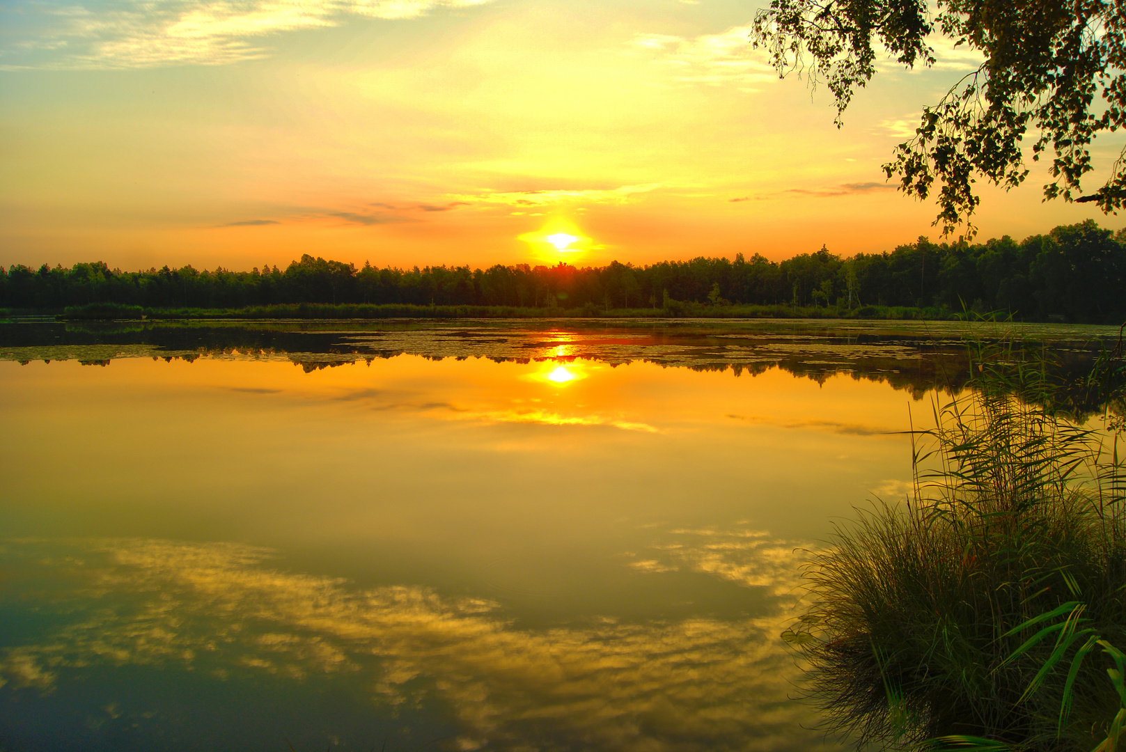 HDR vom Wurzacher Ried