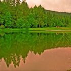 HDR - Waldbad Klingenthal