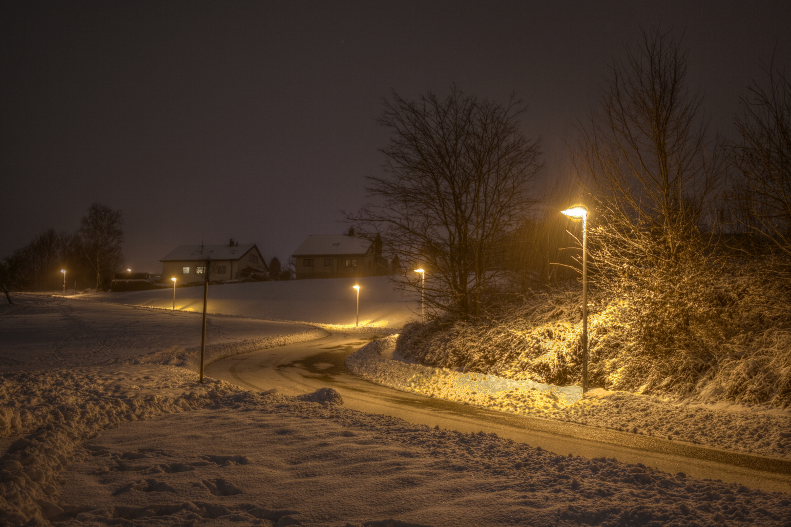 HDR - Weg im Winter