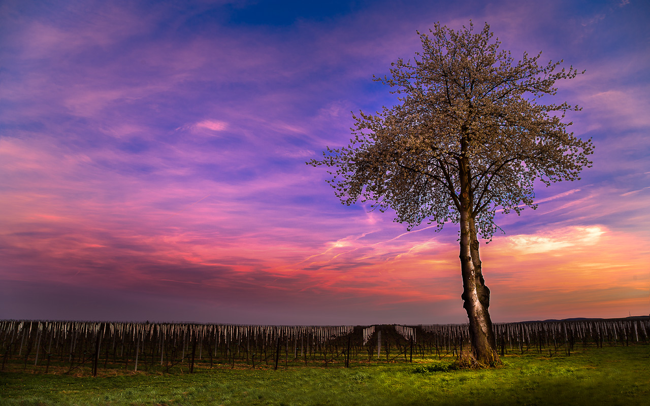 HDR, Weisenheim am Berg