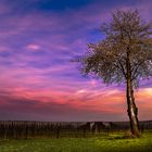 HDR, Weisenheim am Berg