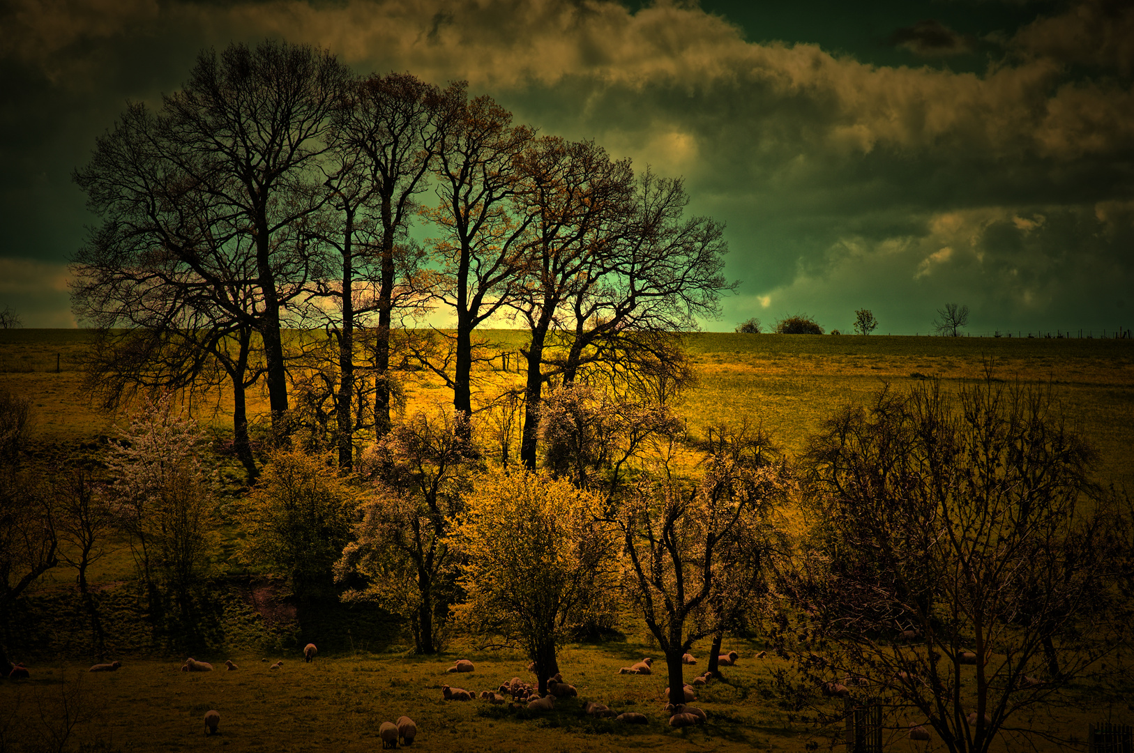 hdr wiese bei boich