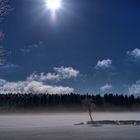 hdr winter, nebel.bearbjpg