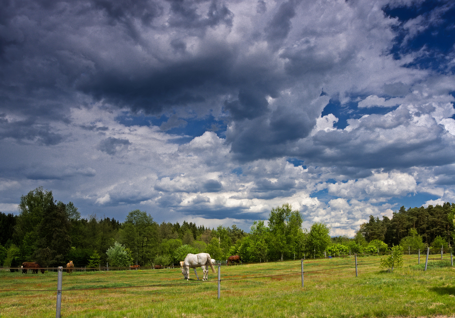 HDR Wolken