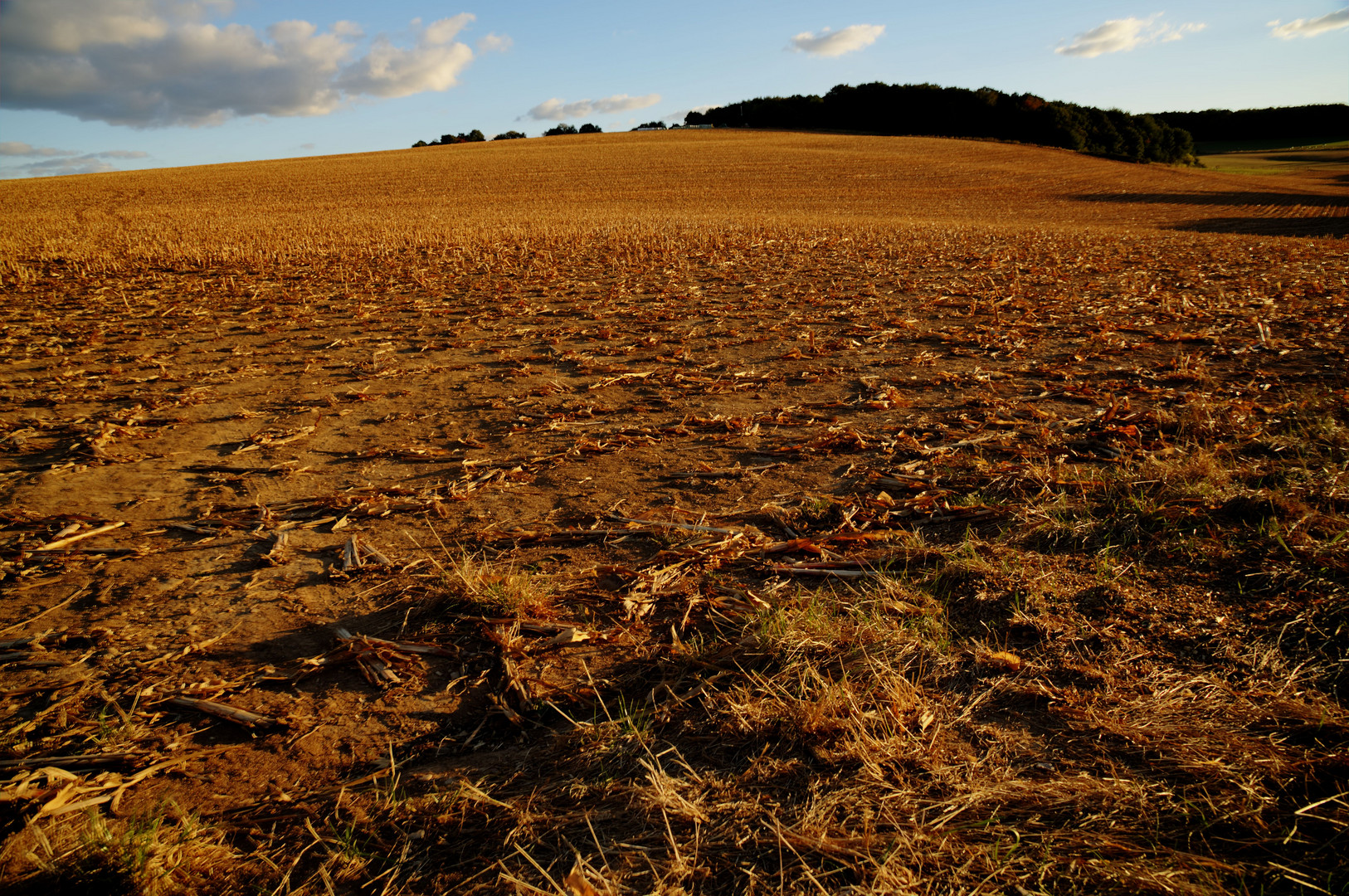 hdrackerlandschaft voreifel 4