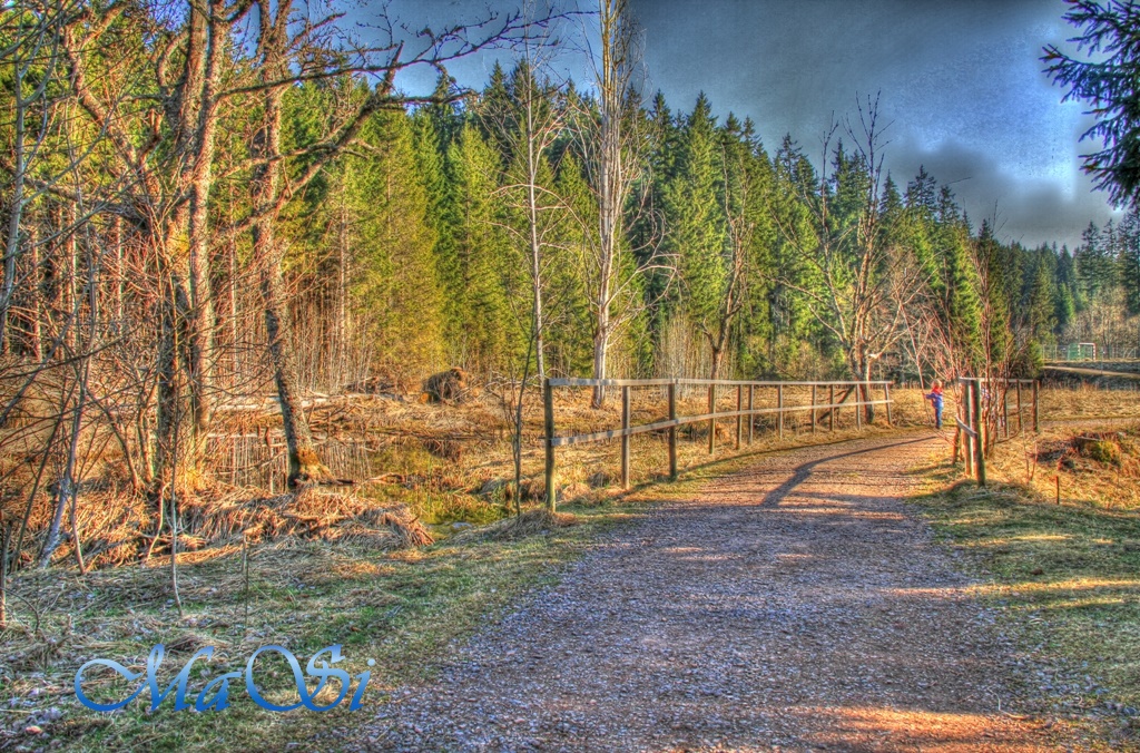 HDR_Bieberwiese...