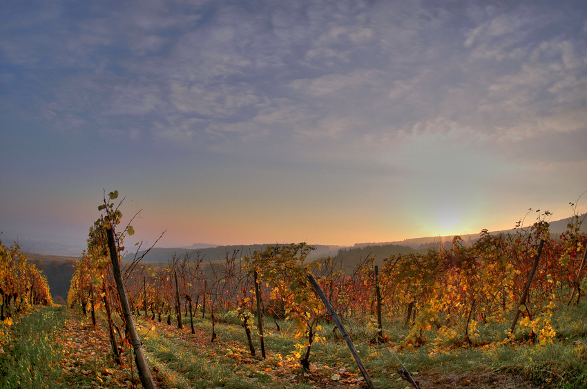 HDR/tm <Sundown in Östrich Winkel>