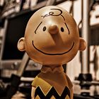 He, Charlie Brown