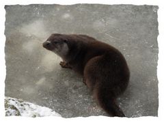 He Jungs! Guckt mal, der Teich ist dicht!