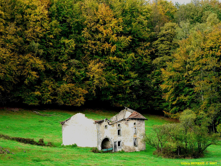 He oui c'est l'automne !