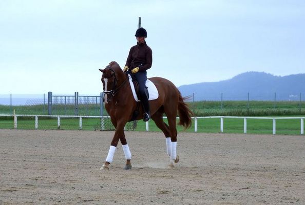 He tooked it all.....