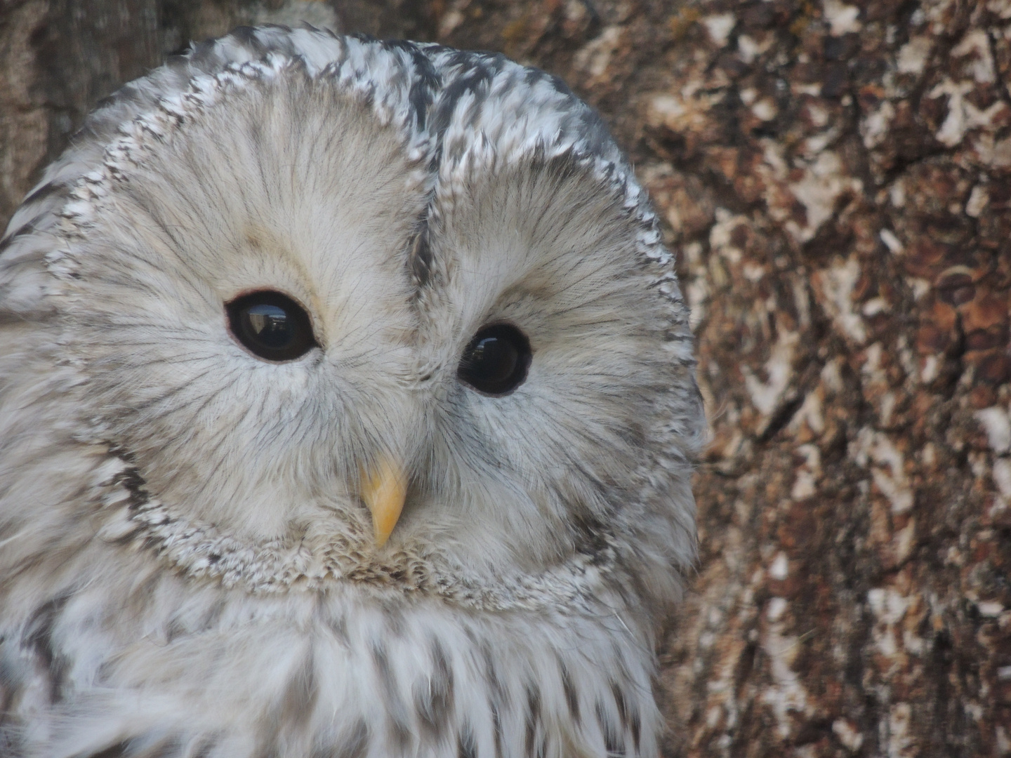 He, was guckst du???