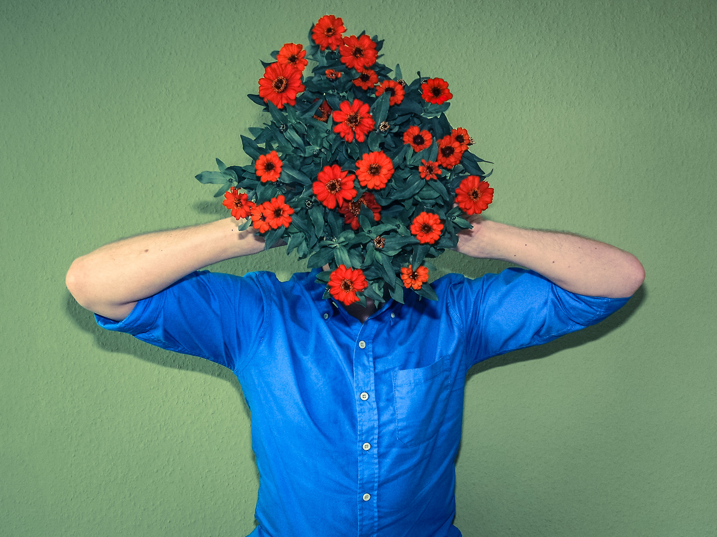 head flowers