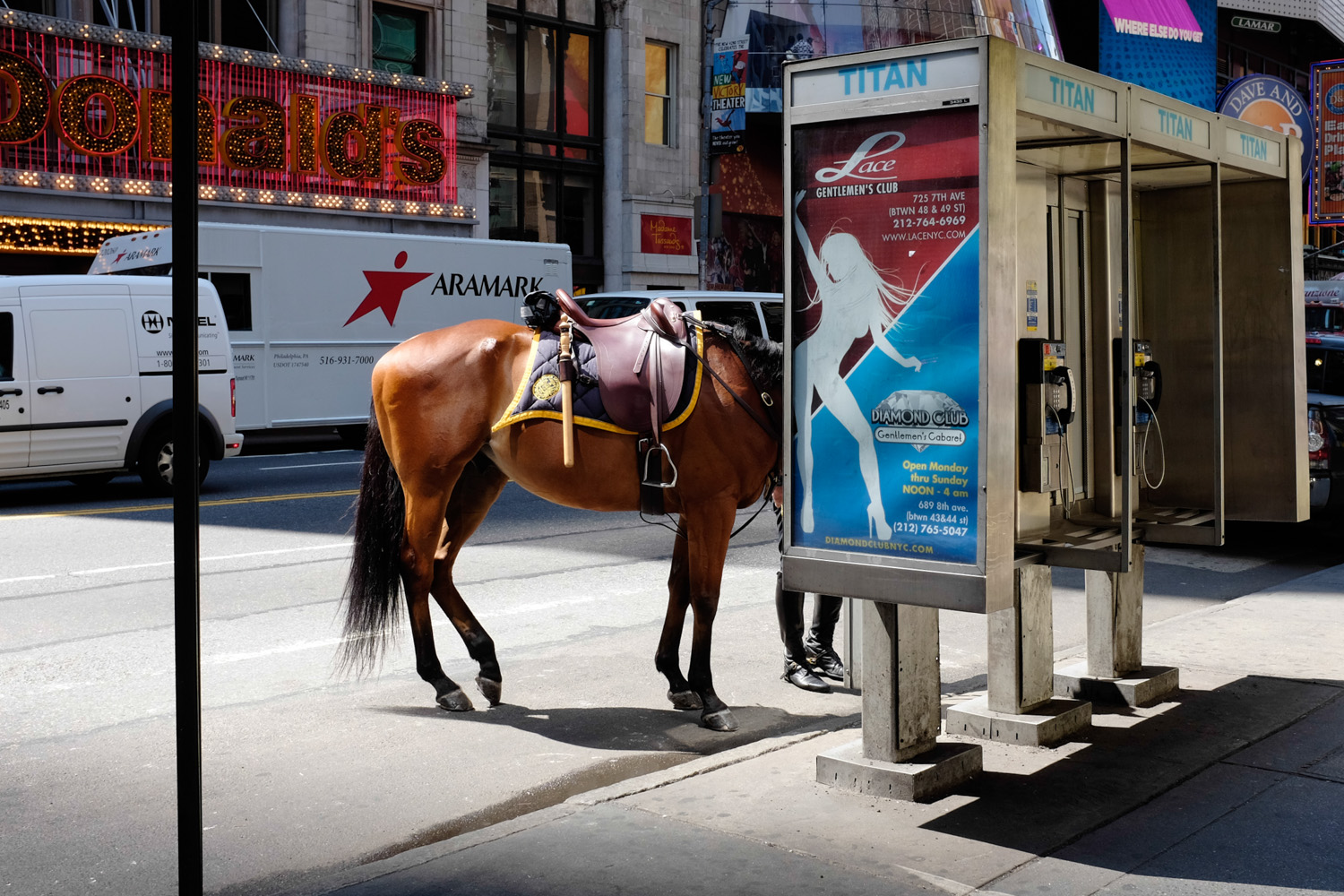 Headless Horse