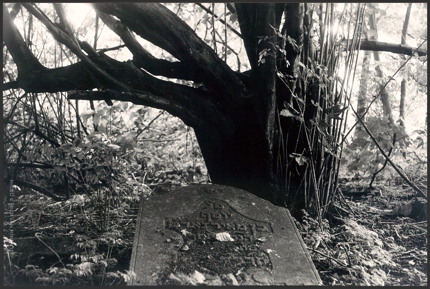 headstone turned over