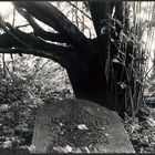 headstone turned over