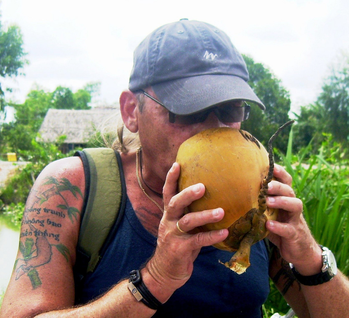 Healthy Coconut