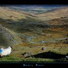 Healy Pass