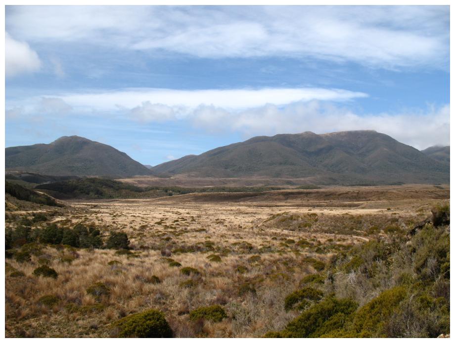 Heaphy Track (Plains and Mountains)