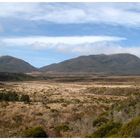 Heaphy Track (Plains and Mountains)