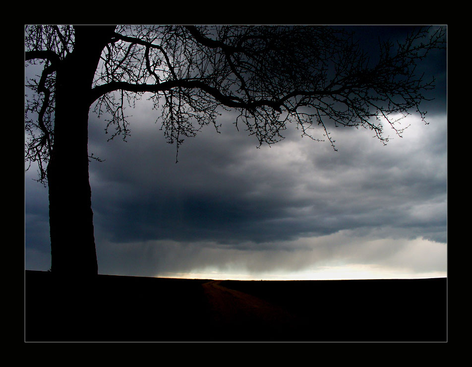 Hear the Sound of the Falling Rain....