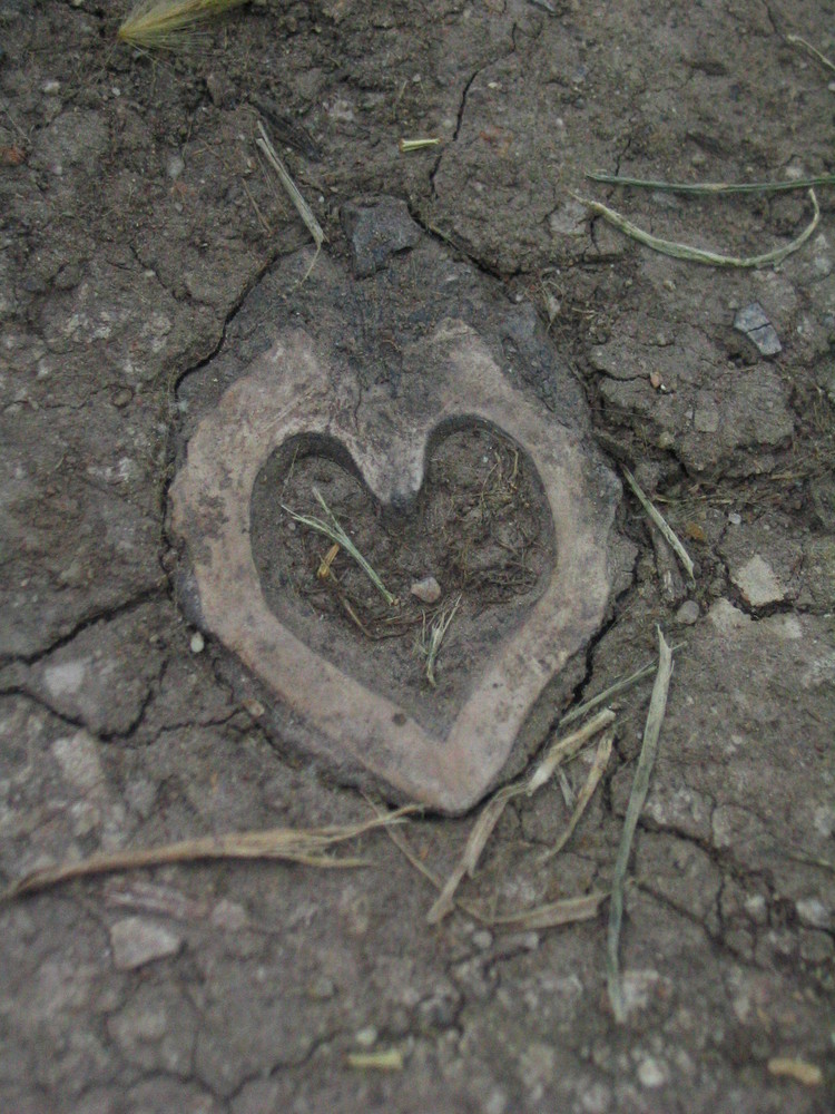 heart in the earth