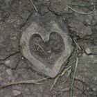 heart in the earth