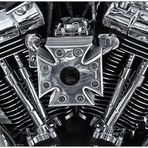 Heart of a Harley