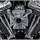 Heart of a Harley