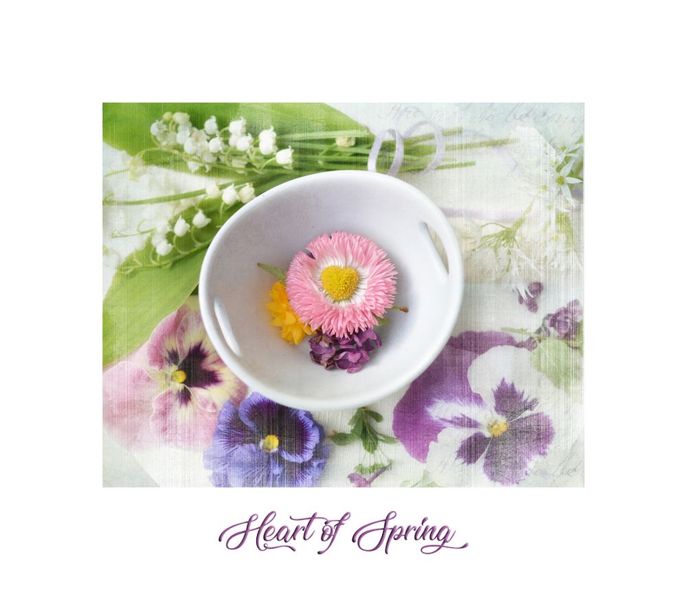 heart of spring