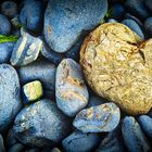 Heart of stone