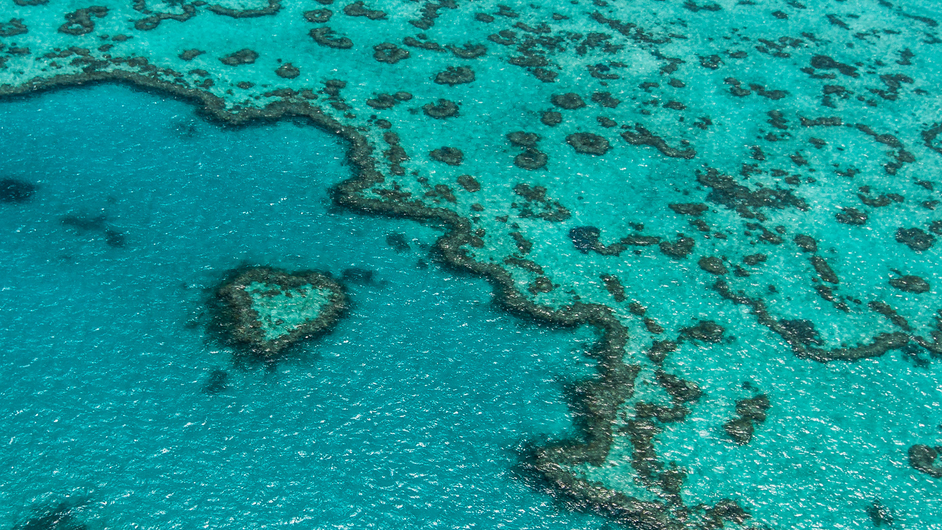 Heart Reef